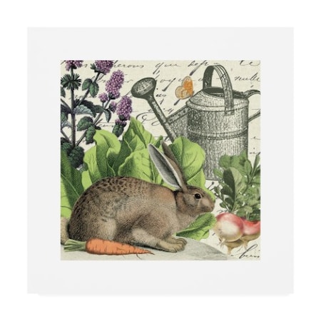 Wild Apple Portfolio 'Garden Rabbit I' Canvas Art,14x14